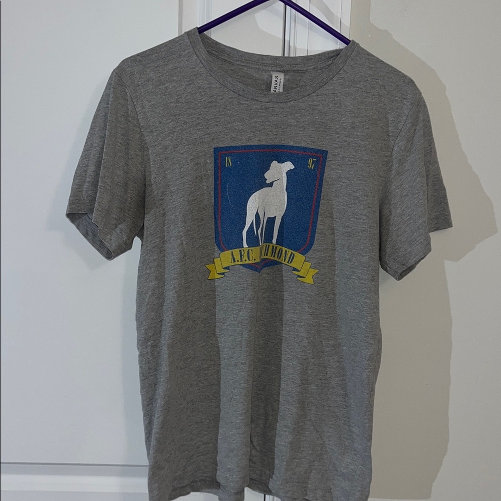 Gray Ted Lasso AFC Richmond England Crest Soccer Team Worn t shirt M Mens